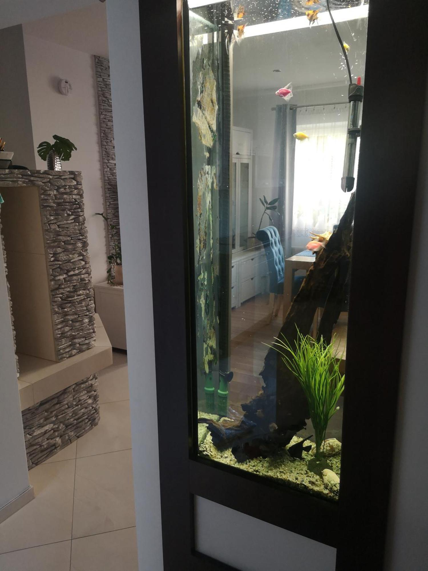 Yesplease Gizycko Mazury Apartment Екстериор снимка